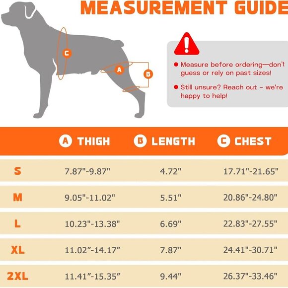 Dog Knee Brace for Hind Legs - Picture 4 of 7